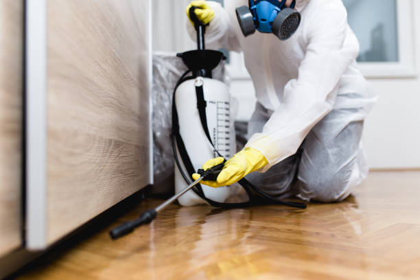 Best Flea Control Services  in Sarasota Springs, FL
