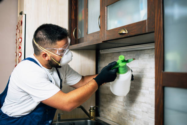 Best Best Pest Control Companies  in Sarasota Springs, FL